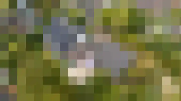 Pals 7 Westervoort thumbnail 66
