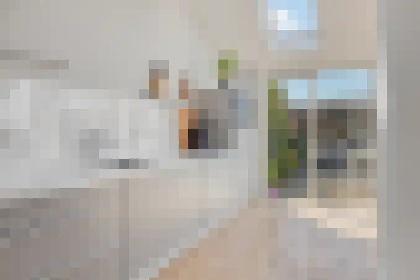 Palsterstraat 26 Vrouwenpolder thumbnail 12