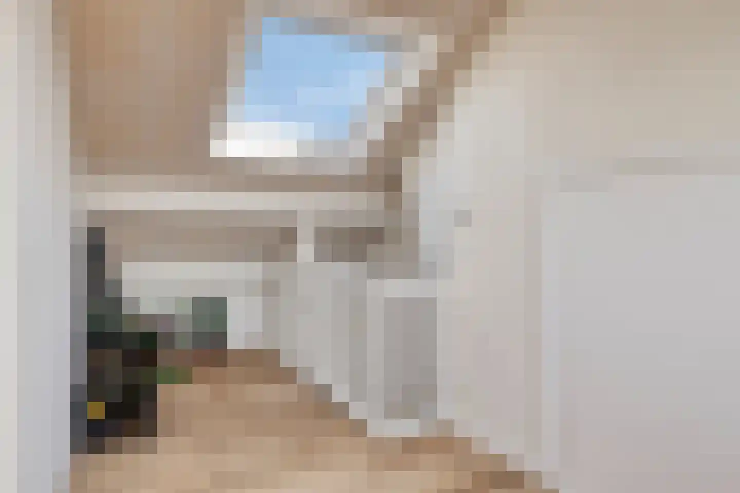 Palsterstraat 26 Vrouwenpolder thumbnail 21