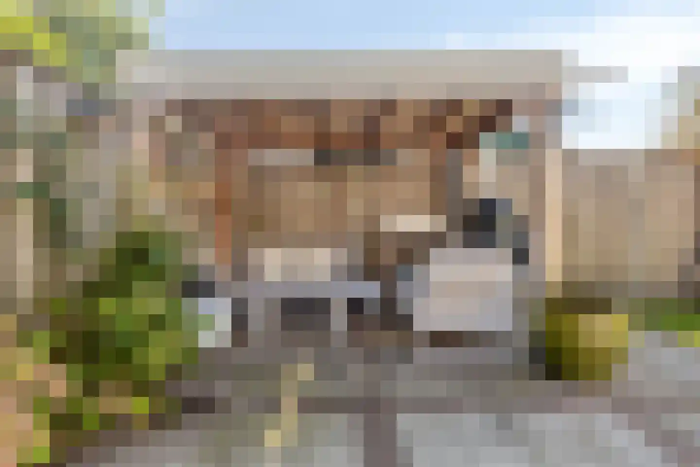 Palsterstraat 26 Vrouwenpolder thumbnail 29