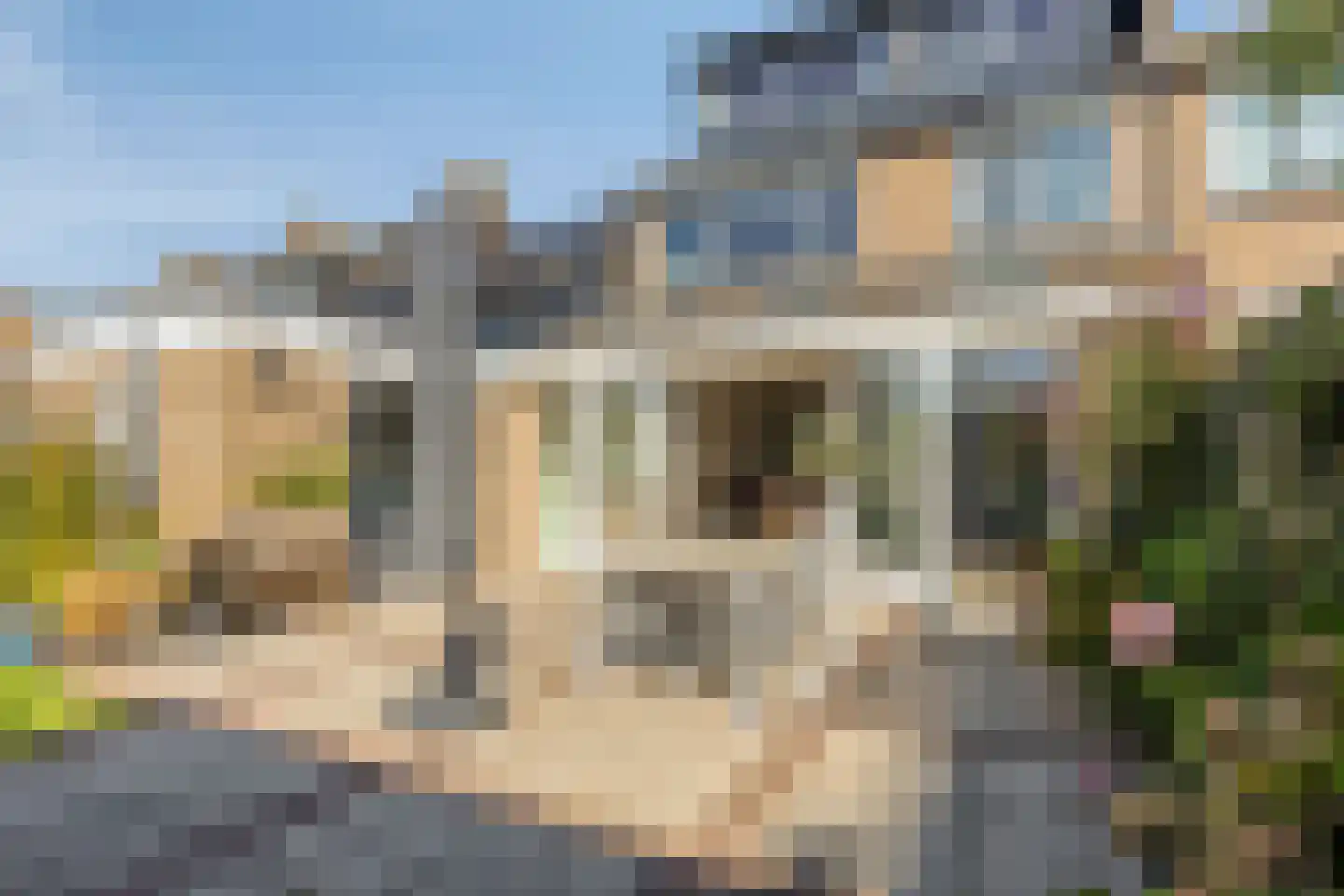 Palsterstraat 26 Vrouwenpolder thumbnail 31