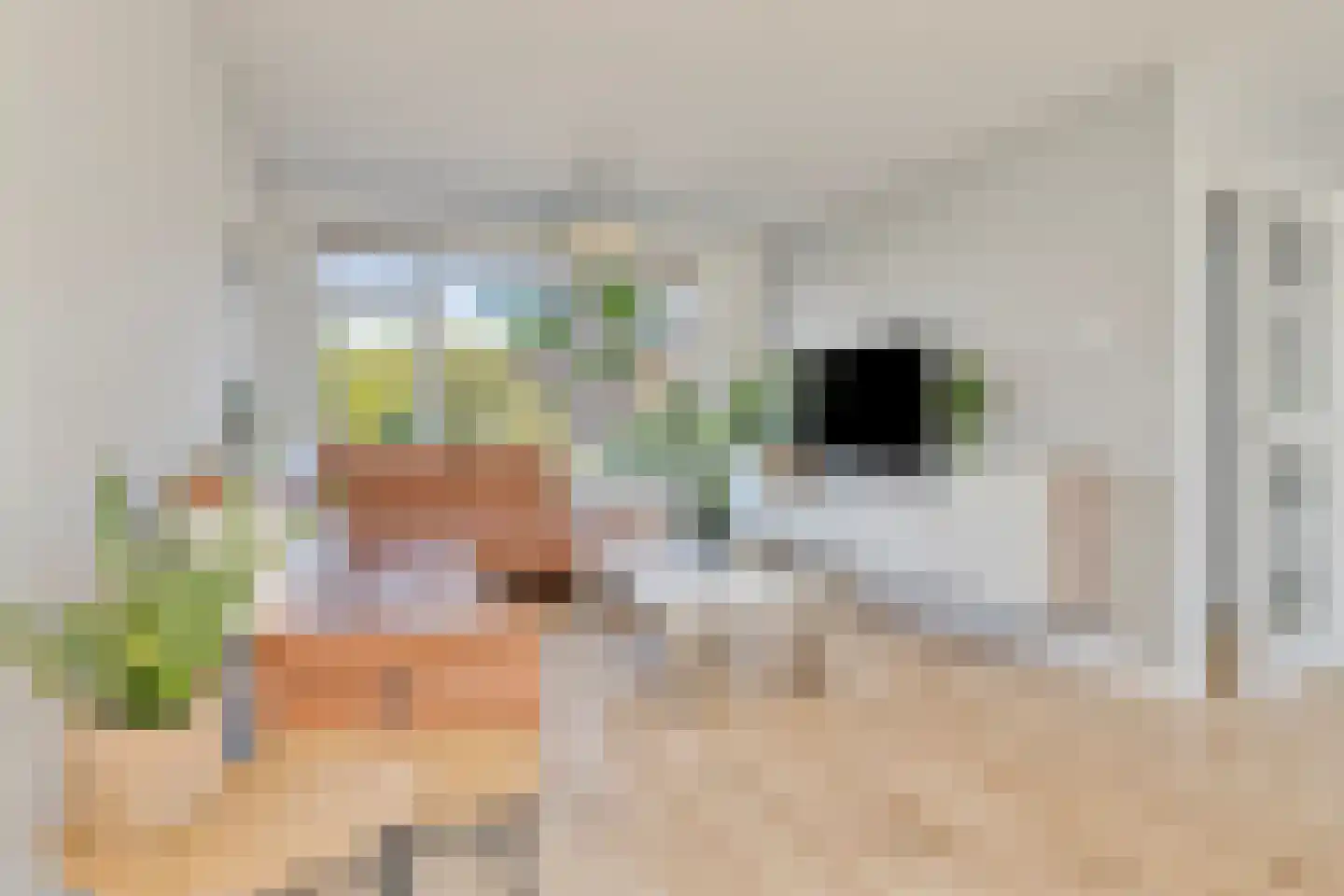 Palsterstraat 26 Vrouwenpolder thumbnail 5