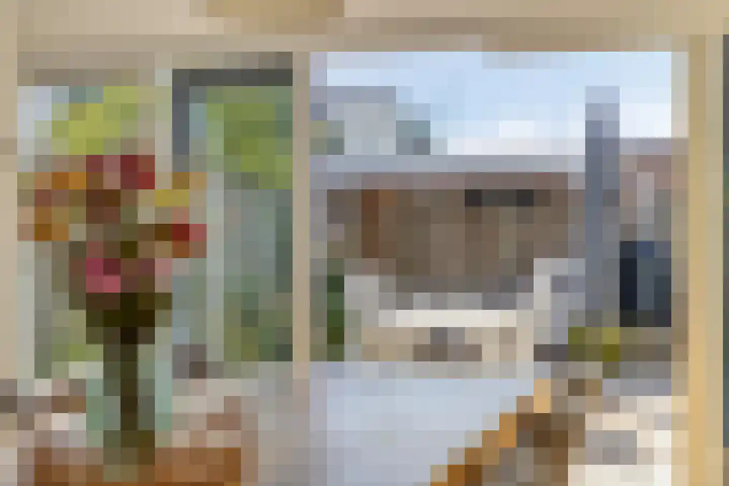 Palsterstraat 26 Vrouwenpolder thumbnail 8