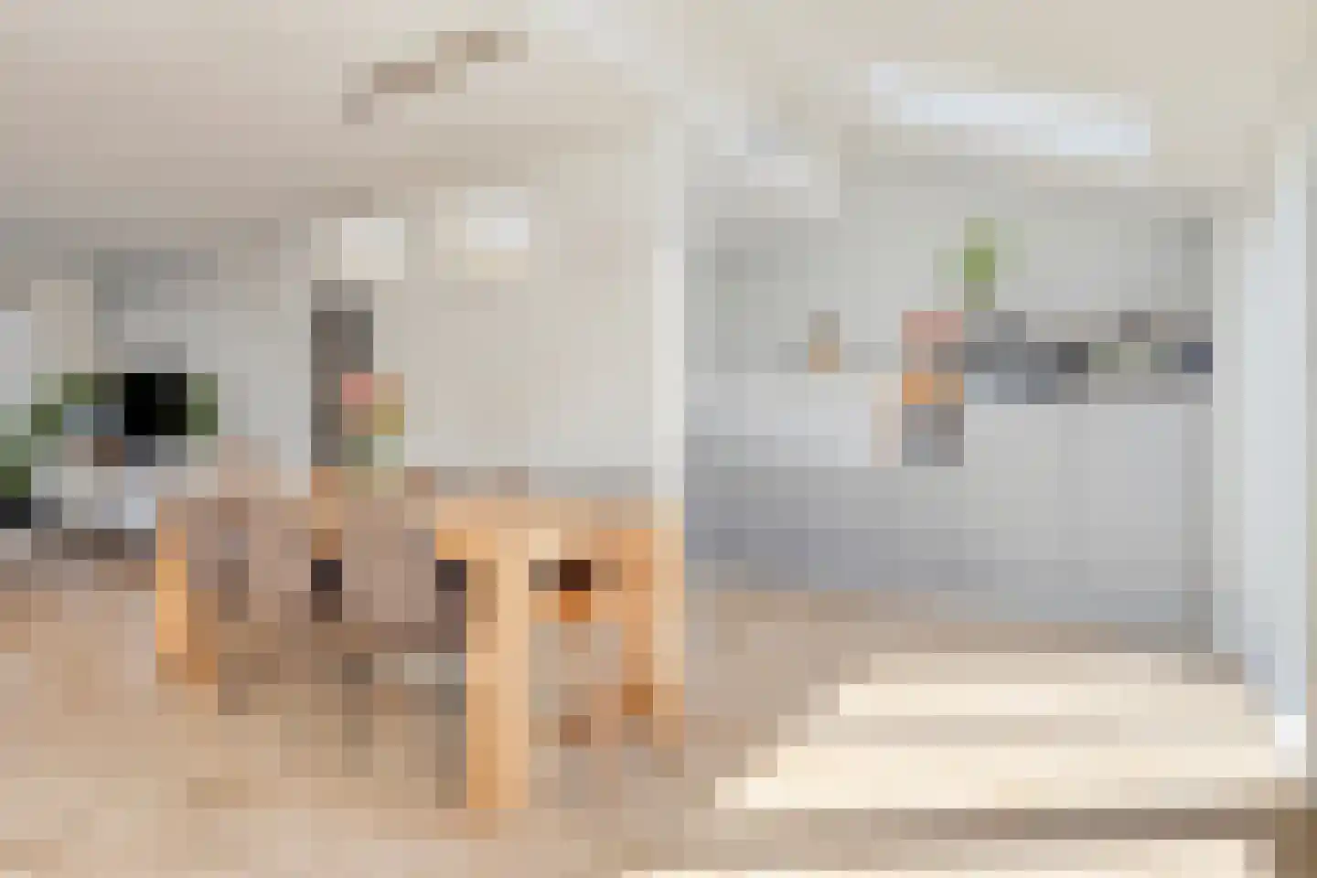 Palsterstraat 26 Vrouwenpolder thumbnail 9