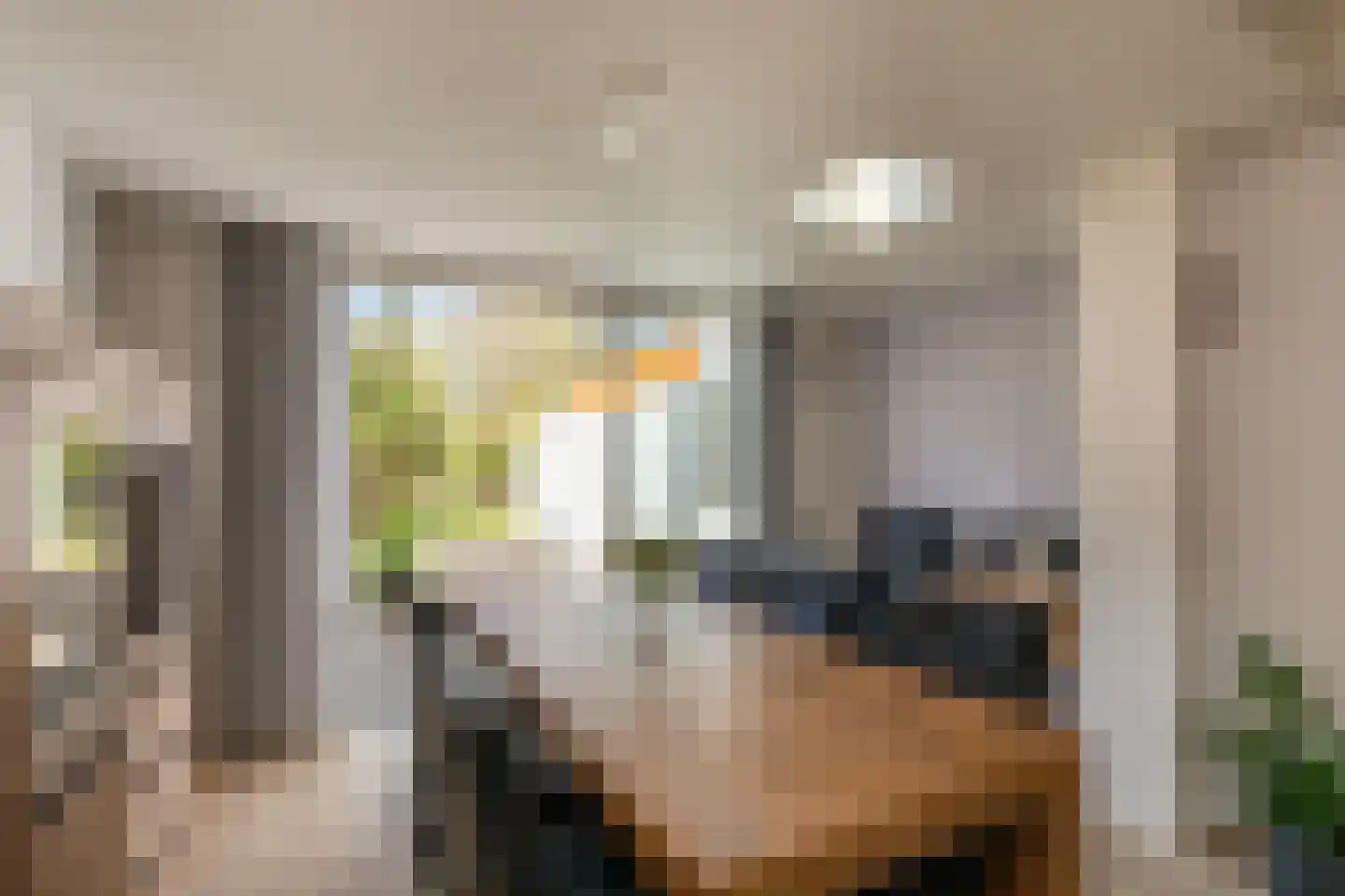 Palsterstraat 4 Vrouwenpolder thumbnail 10