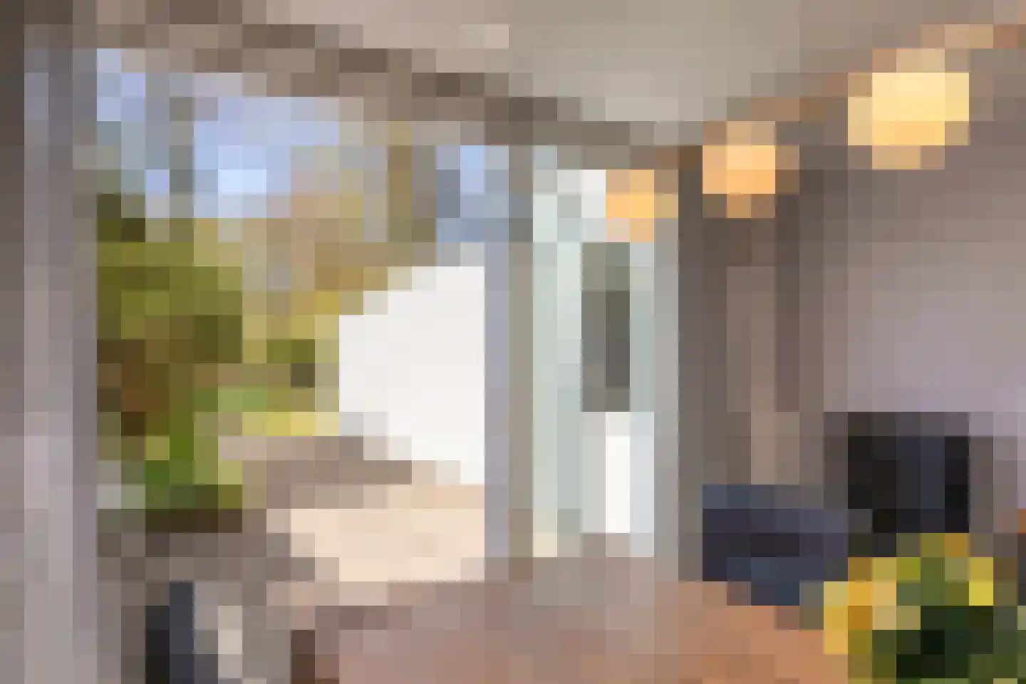 Palsterstraat 4 Vrouwenpolder thumbnail 11