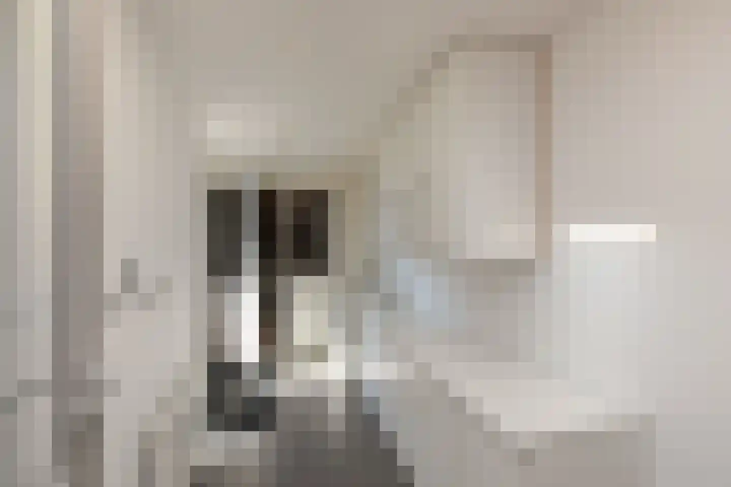 Palsterstraat 4 Vrouwenpolder thumbnail 12