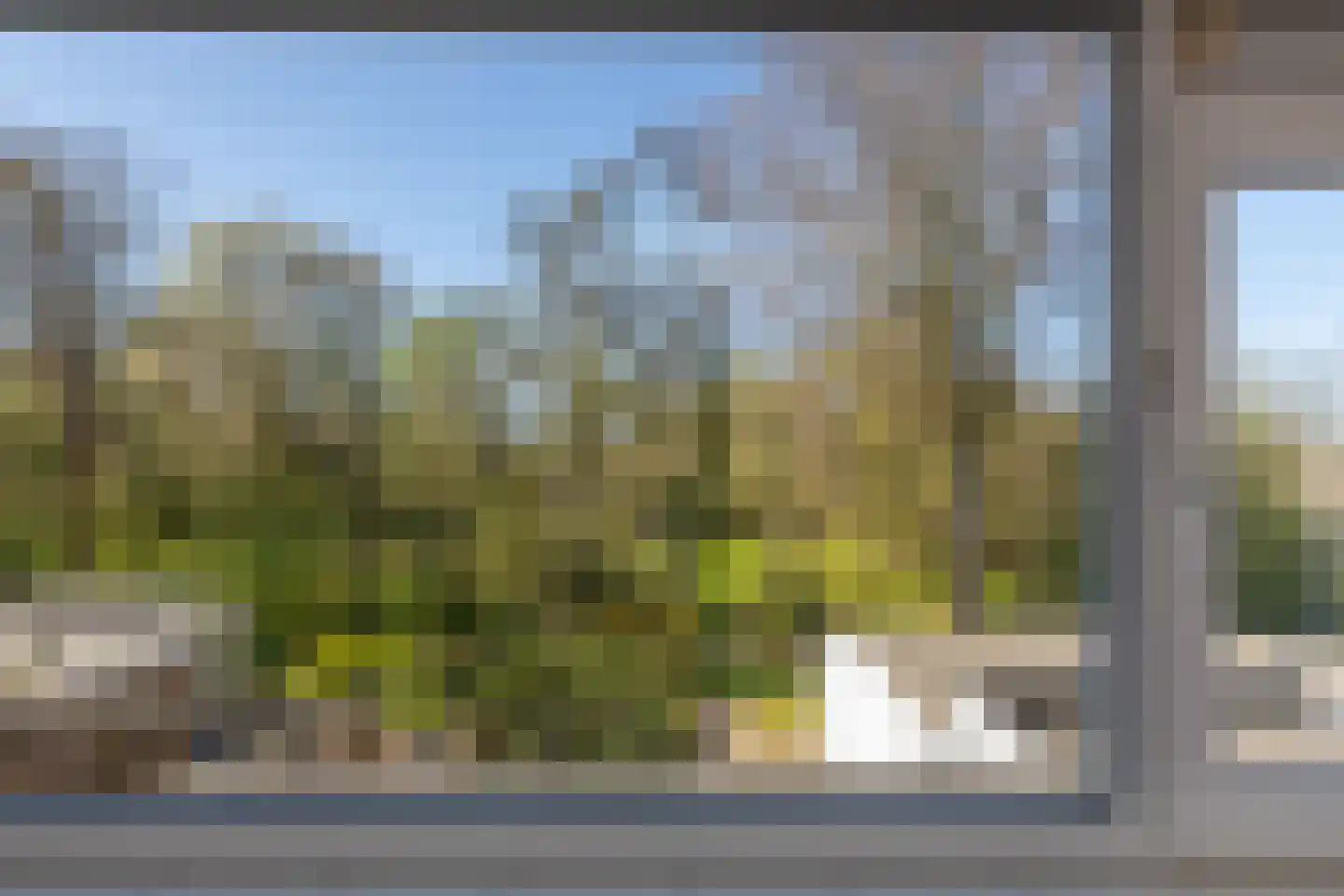 Palsterstraat 4 Vrouwenpolder thumbnail 18