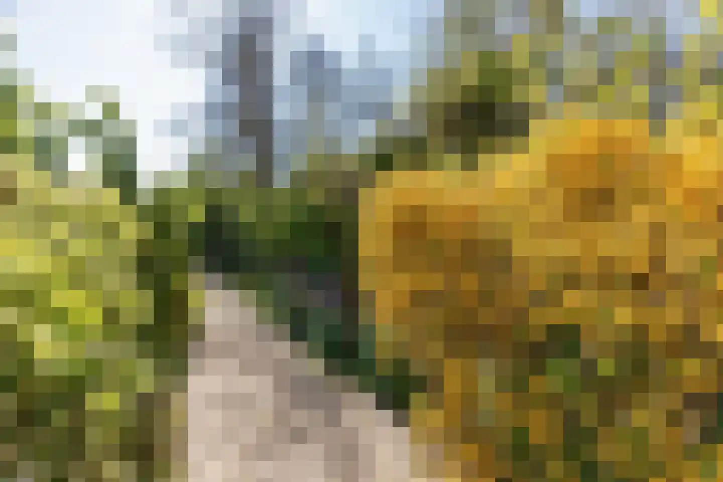 Palsterstraat 4 Vrouwenpolder thumbnail 24