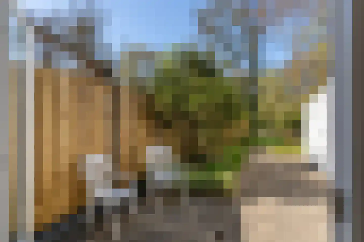 Palsterstraat 4 Vrouwenpolder thumbnail 25
