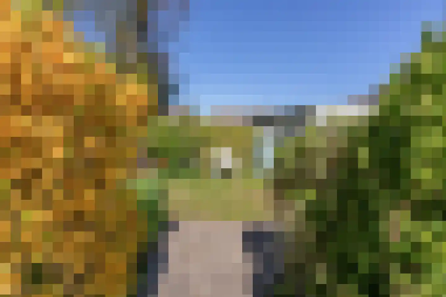 Palsterstraat 4 Vrouwenpolder thumbnail 27
