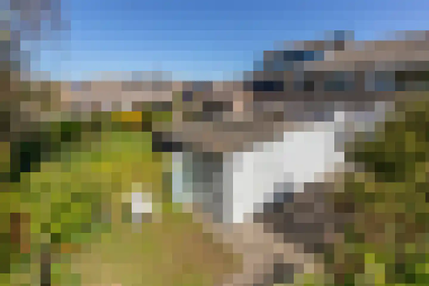 Palsterstraat 4 Vrouwenpolder thumbnail 31