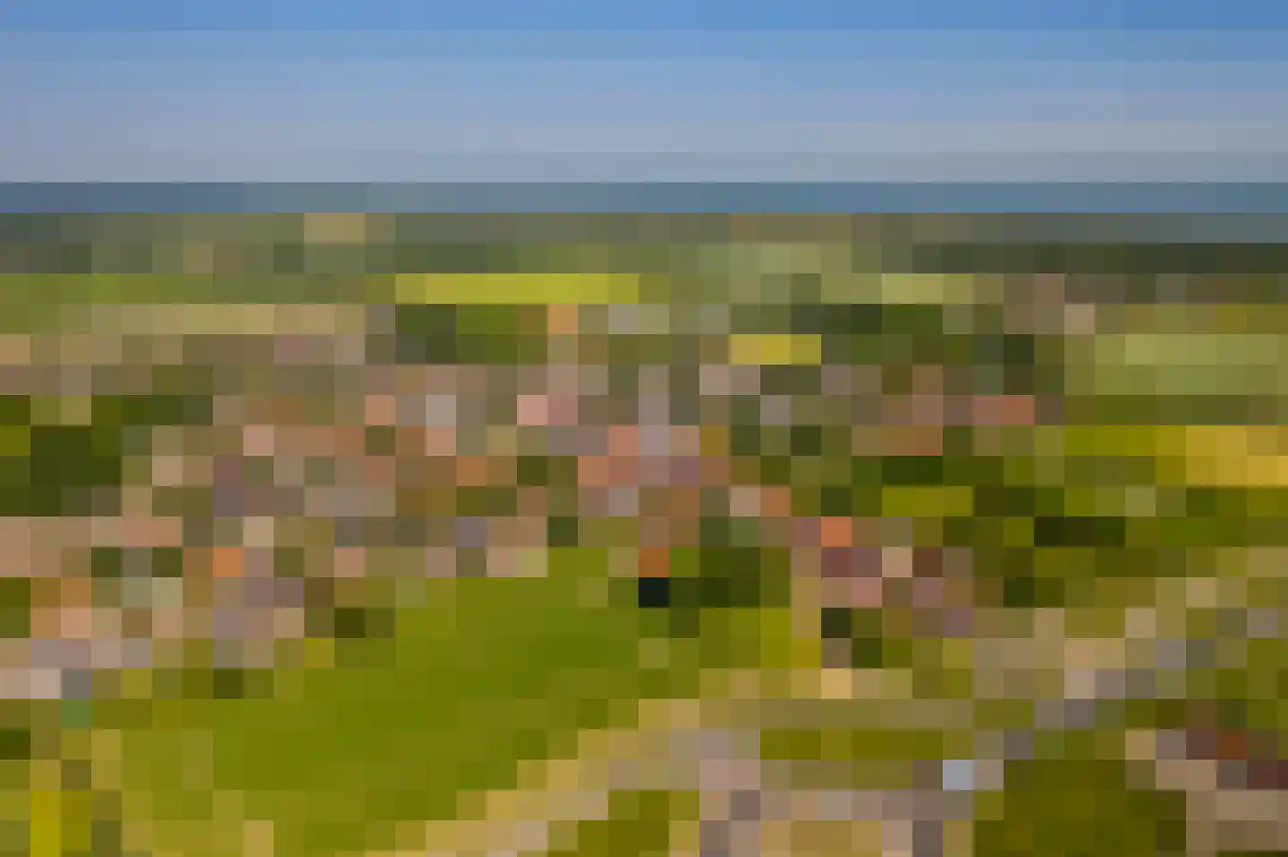 Palsterstraat 4 Vrouwenpolder thumbnail 35