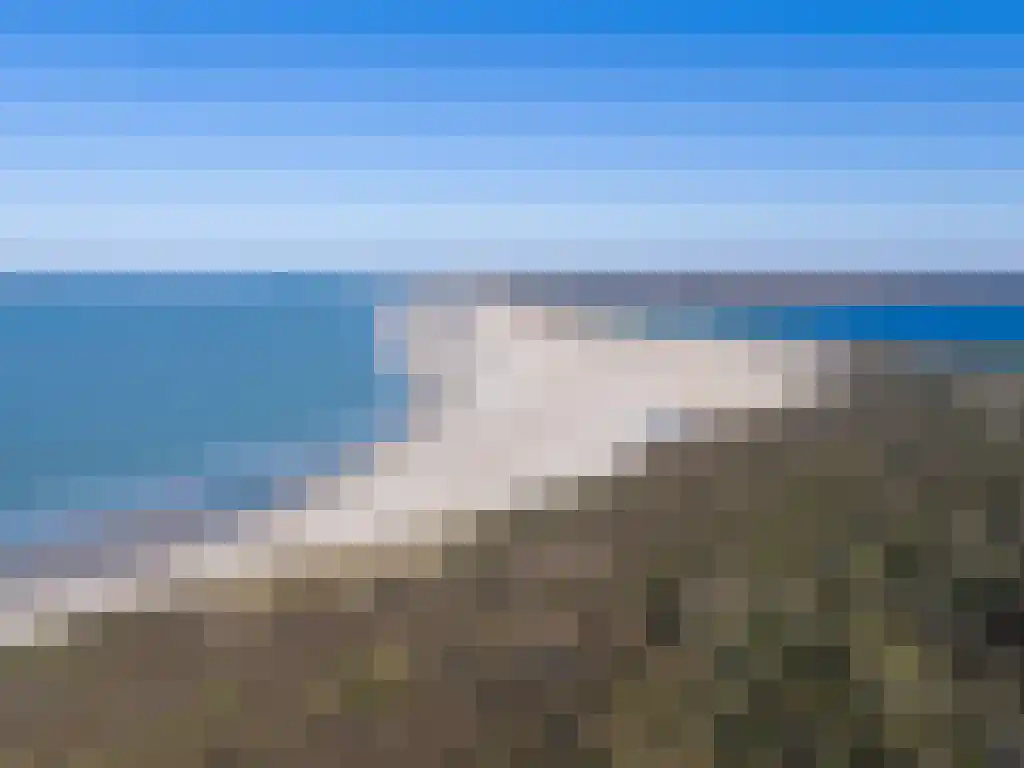 Palsterstraat 4 Vrouwenpolder thumbnail 36