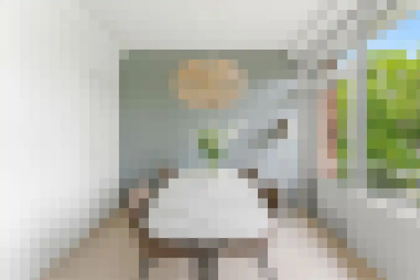 Paltroklaan 117 Rotterdam thumbnail 11