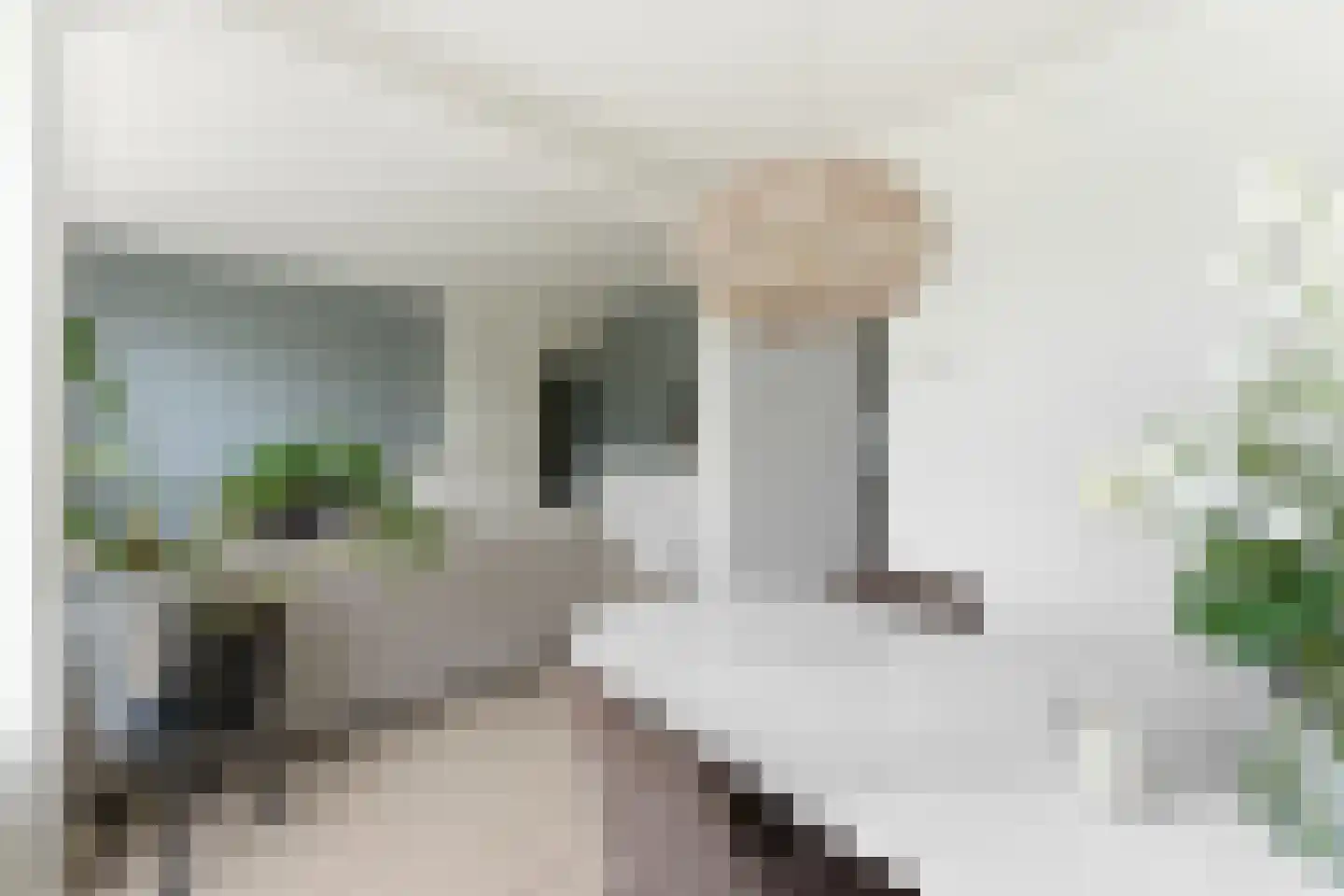 Paltroklaan 117 Rotterdam thumbnail 13