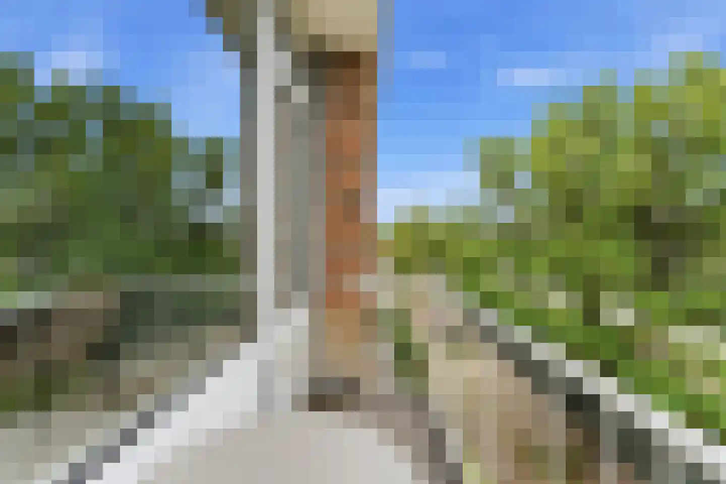 Paltroklaan 117 Rotterdam thumbnail 25