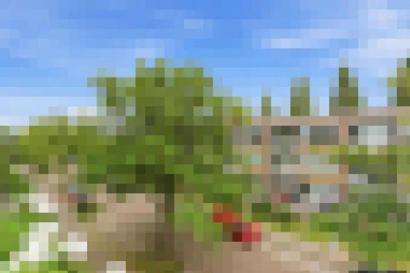 Paltroklaan 117 Rotterdam thumbnail 31