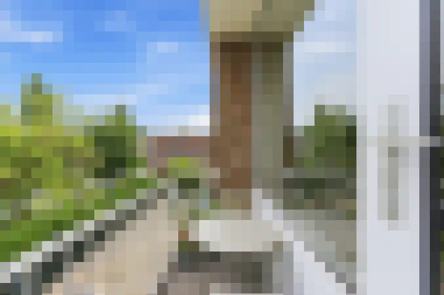 Paltroklaan 117 Rotterdam thumbnail 5