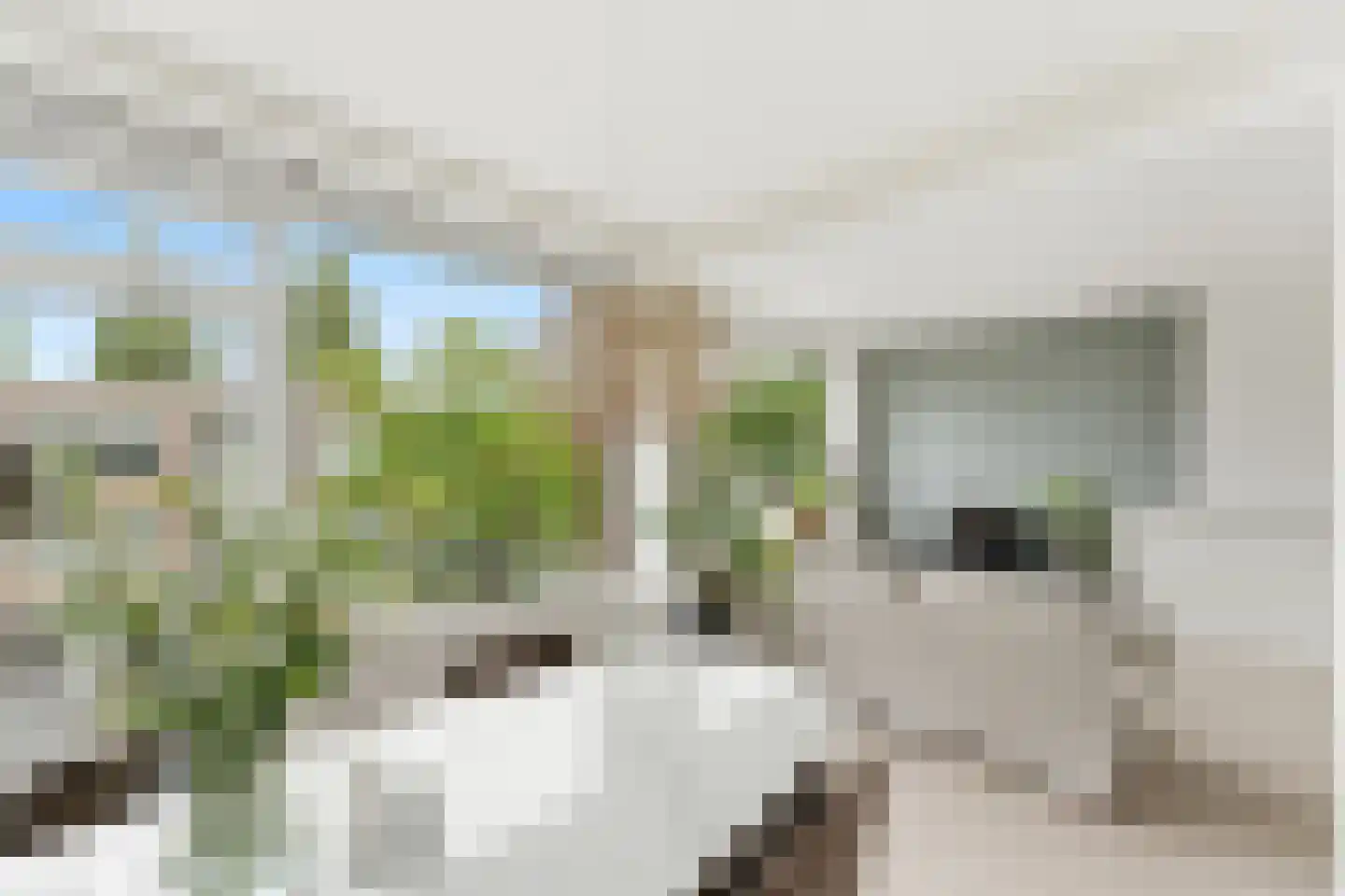 Paltroklaan 117 Rotterdam thumbnail 6