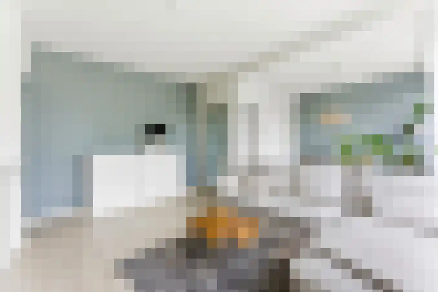 Paltroklaan 117 Rotterdam thumbnail 8