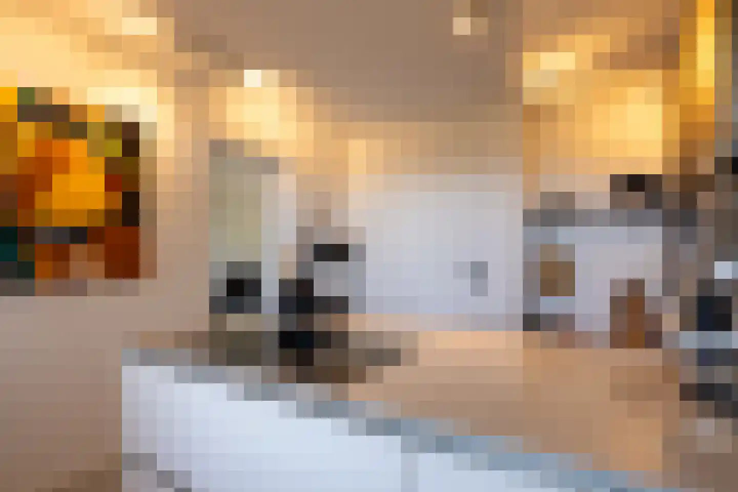 Paltroklaan 27 Rotterdam thumbnail 10