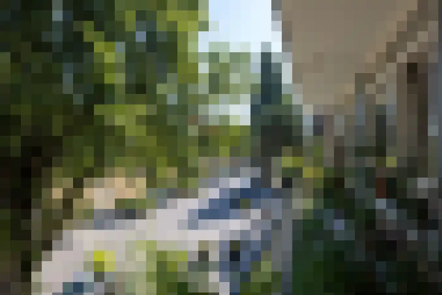 Paltroklaan 27 Rotterdam thumbnail 33