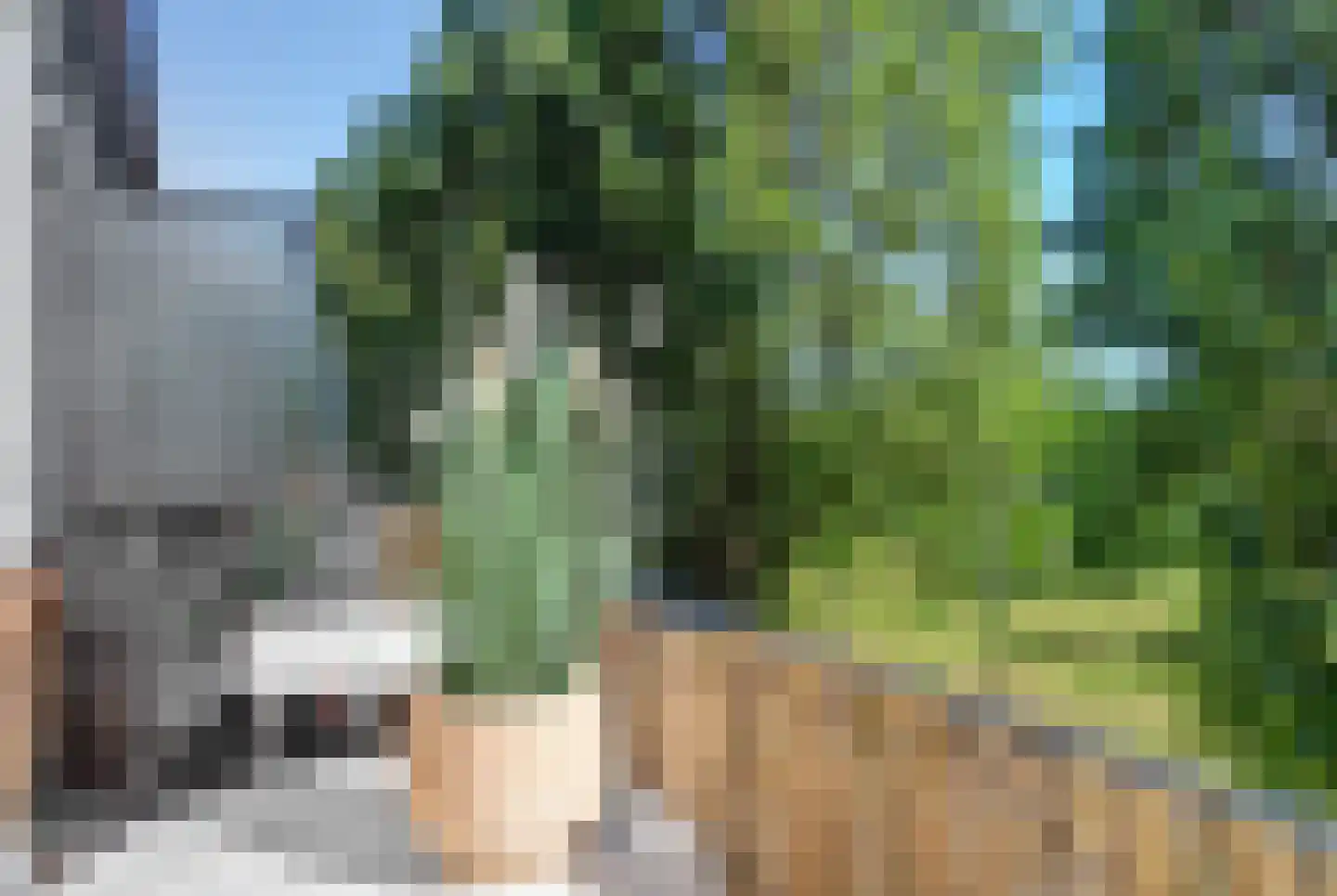 Paltroklaan 37 Rotterdam thumbnail 11
