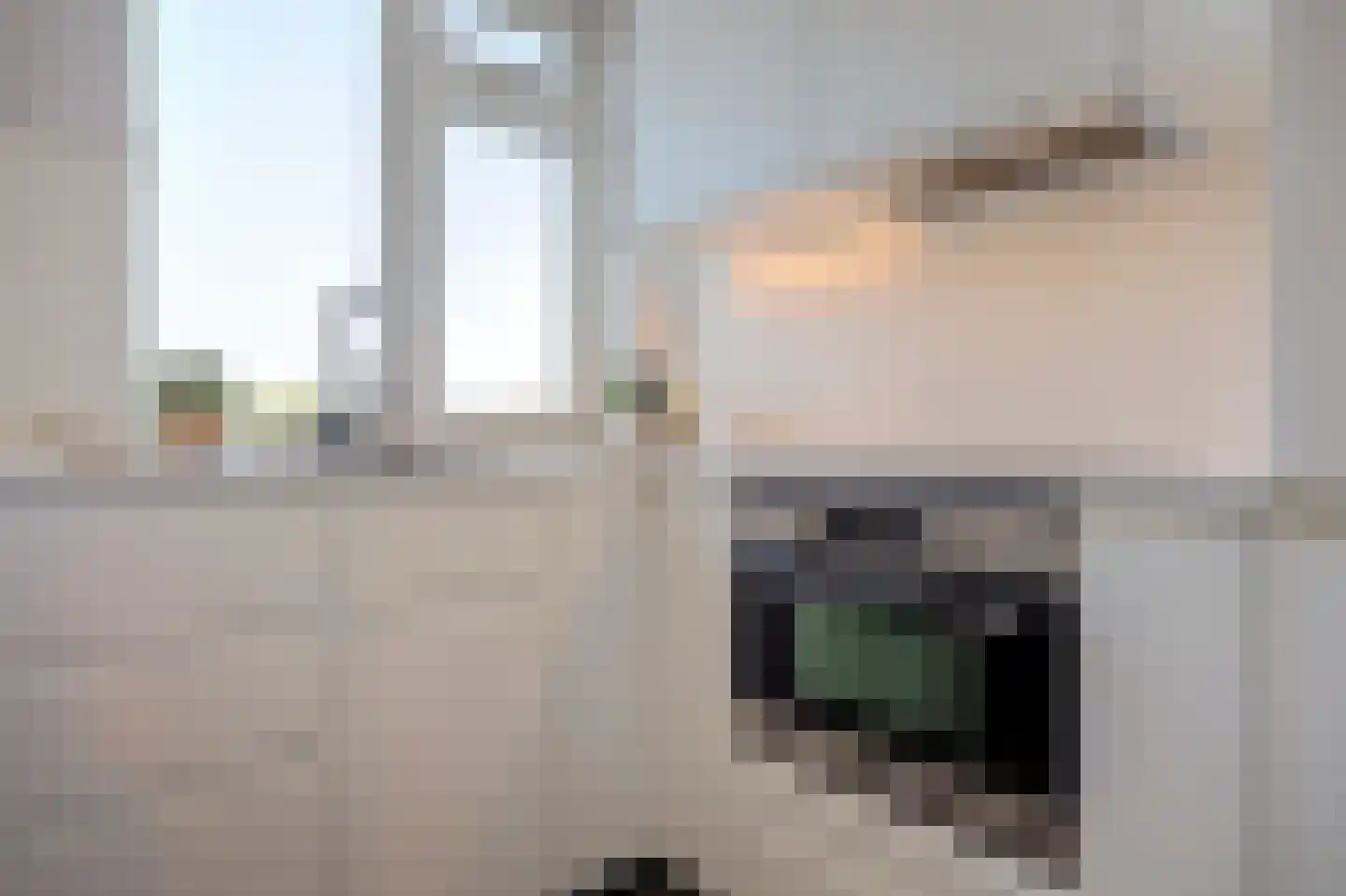 Paltroklaan 37 Rotterdam thumbnail 14
