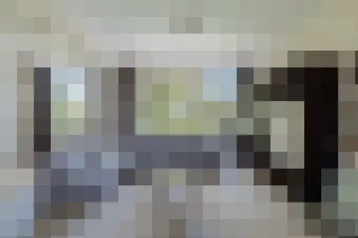 Paltroklaan 45 Rotterdam thumbnail 10