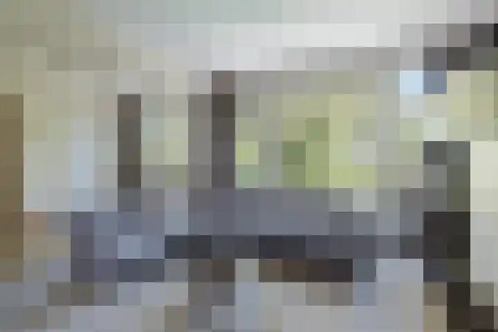 Paltroklaan 45 Rotterdam thumbnail 11