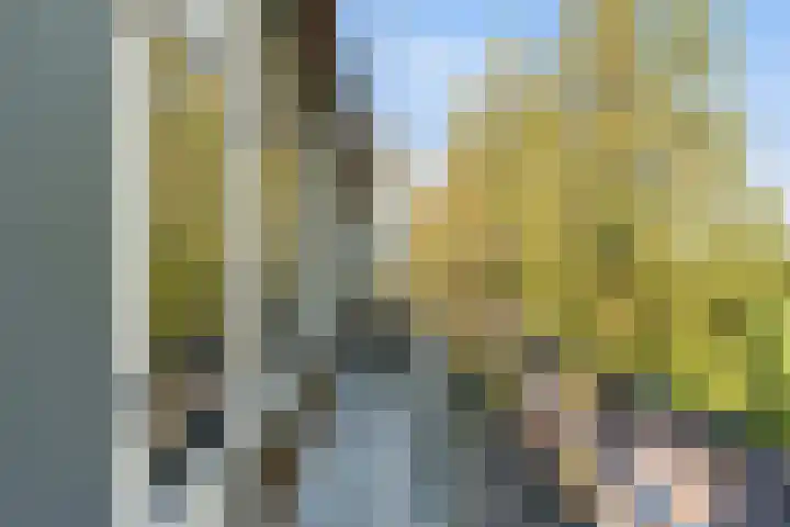 Paltroklaan 45 Rotterdam thumbnail 22