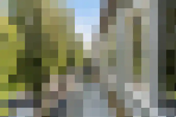 Paltroklaan 45 Rotterdam thumbnail 23