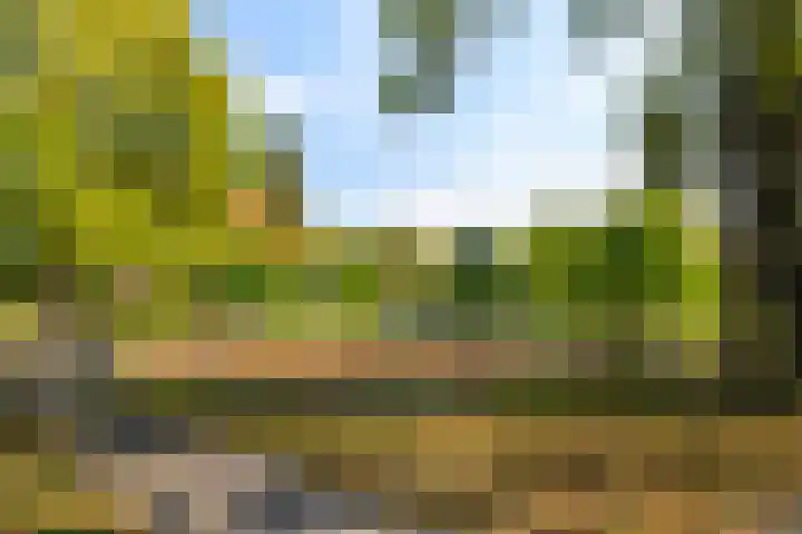 Paltroklaan 45 Rotterdam thumbnail 31