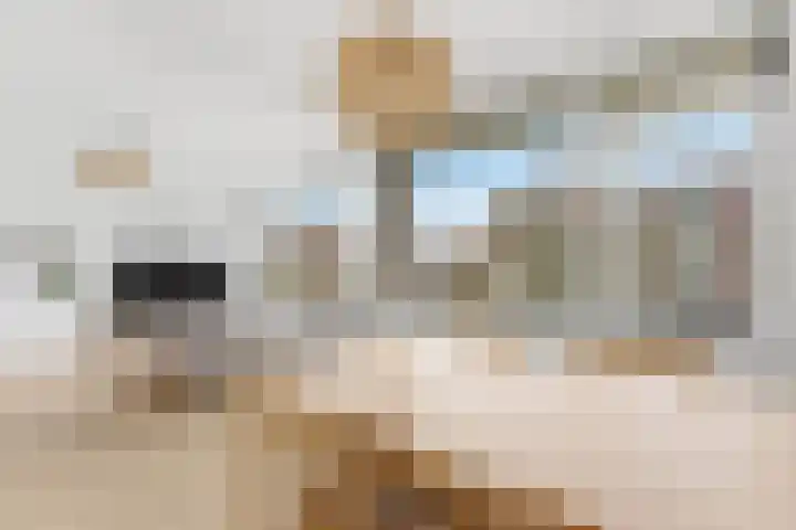 Paltroklaan 63 Rotterdam thumbnail 11