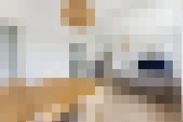 Paltroklaan 63 Rotterdam thumbnail 12