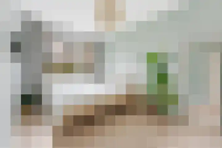Paltroklaan 63 Rotterdam thumbnail 19