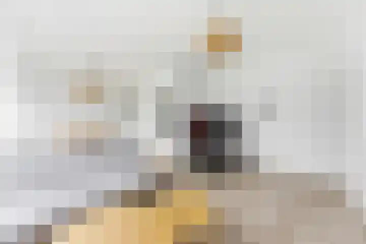 Paltroklaan 63 Rotterdam thumbnail 7