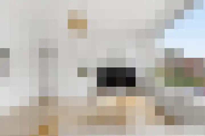 Paltroklaan 63 Rotterdam thumbnail 8