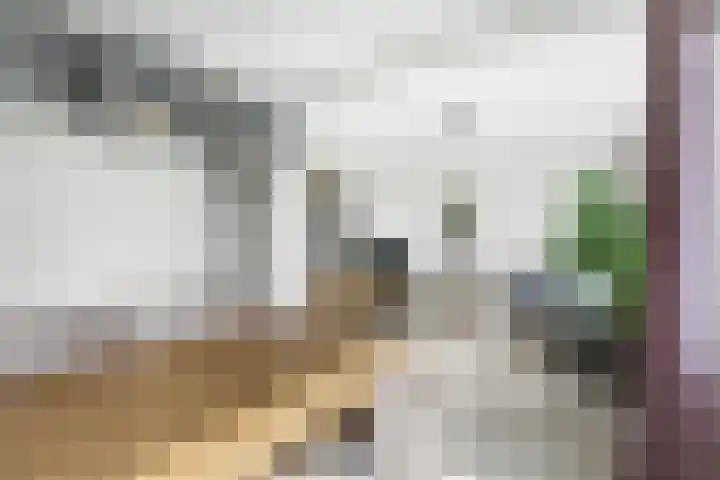 Paltroklaan 75 Rotterdam thumbnail 12