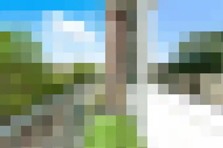 Paltroklaan 75 Rotterdam thumbnail 24