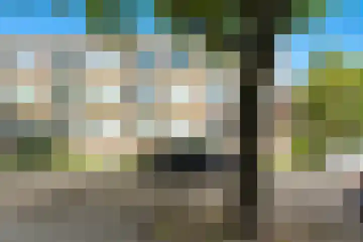 Paltroklaan 75 Rotterdam thumbnail 29