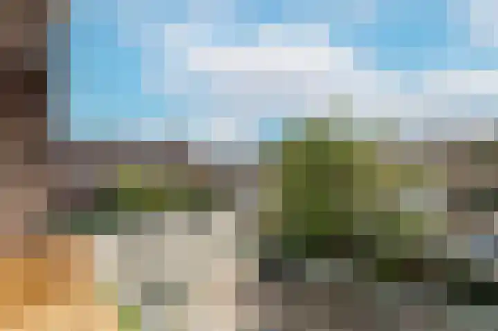 Paltroklaan 75 Rotterdam thumbnail 4
