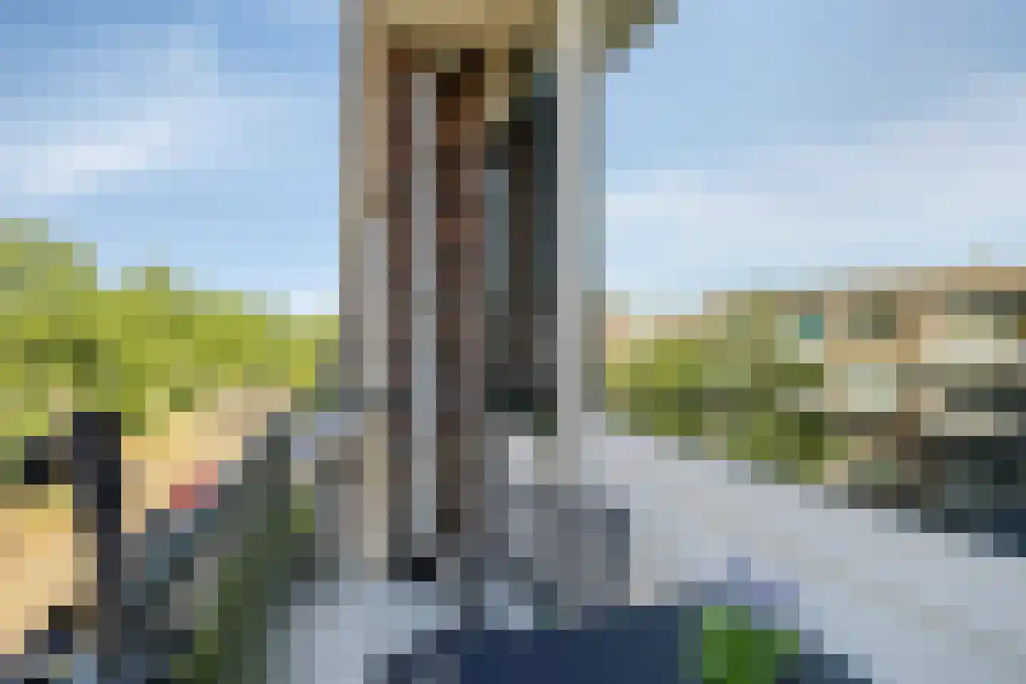 Paltroklaan 79 Rotterdam thumbnail 14
