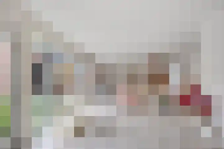 Paltrokmolen 1 Papendrecht thumbnail 11