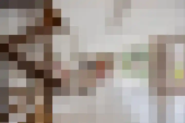Paltrokmolen 1 Papendrecht thumbnail 12