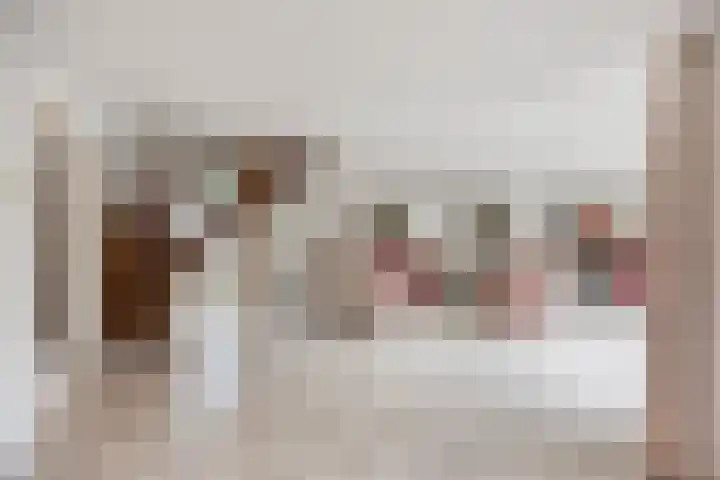 Paltrokmolen 1 Papendrecht thumbnail 13