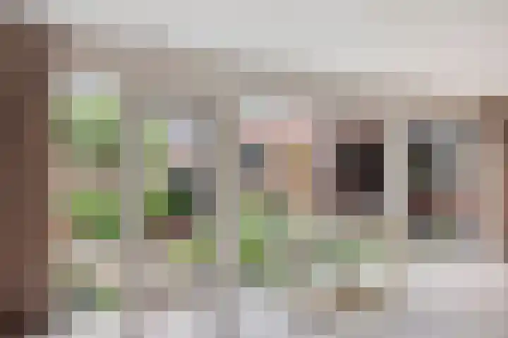 Paltrokmolen 1 Papendrecht thumbnail 17