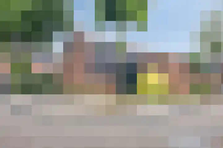 Paltrokmolen 1 Papendrecht foto 2