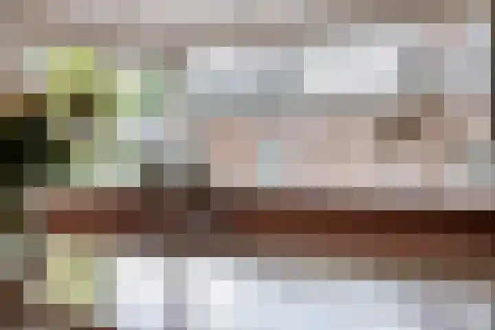 Paltrokmolen 1 Papendrecht thumbnail 21